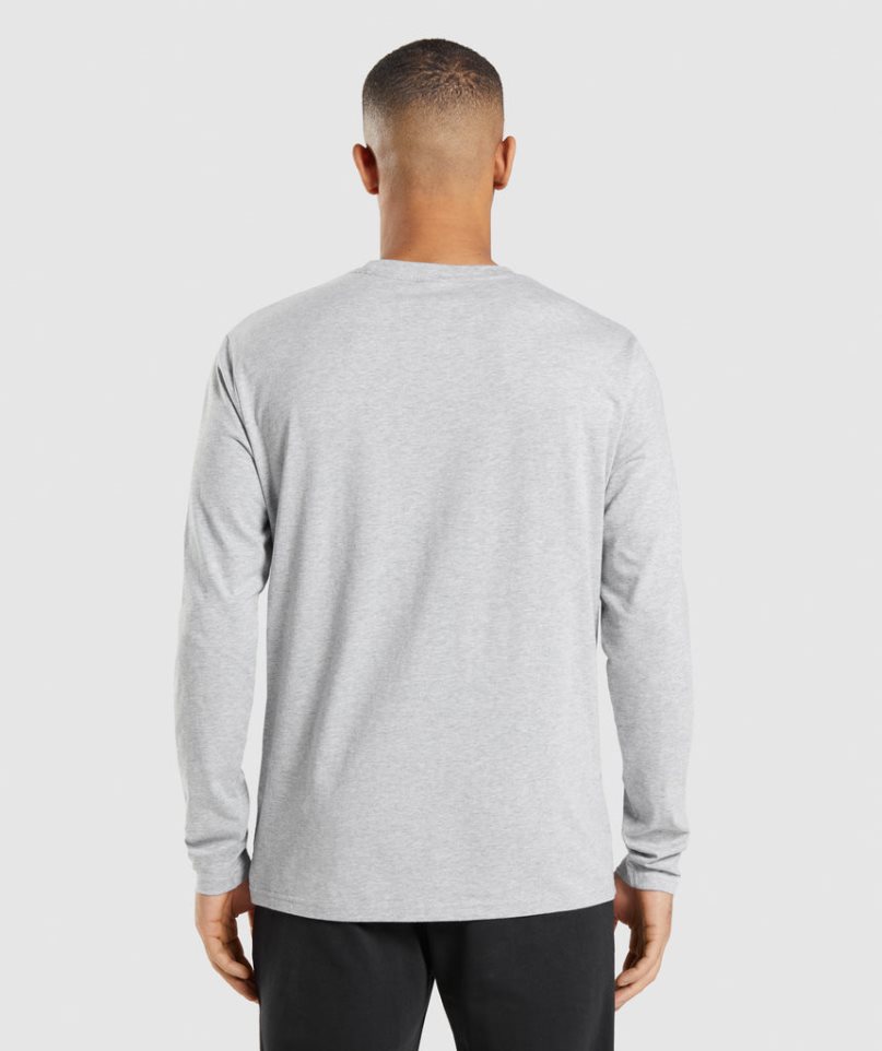 Gymshark Crest Long Sleeve T-shirts Herren Hellgrau | 51023HWPU