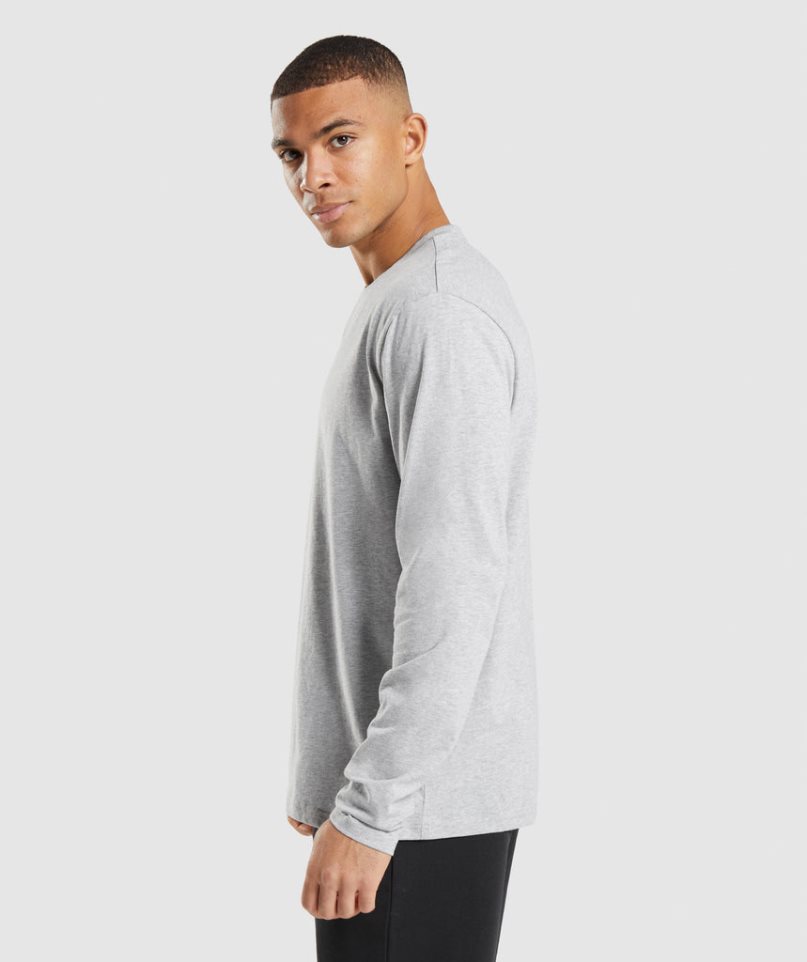 Gymshark Crest Long Sleeve T-shirts Herren Hellgrau | 51023HWPU