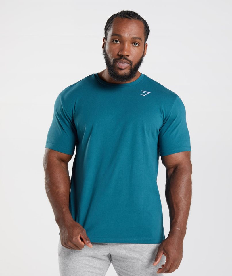 Gymshark Crest T-shirts Herren Türkis | 38275CVIJ