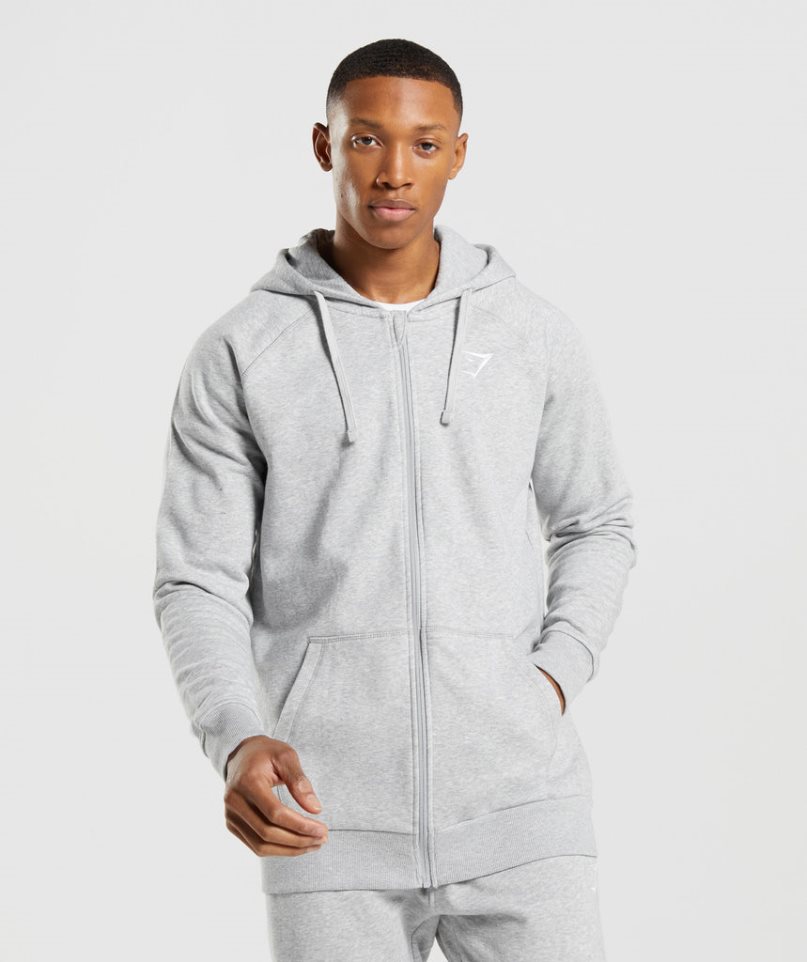 Gymshark Crest Zip Up Hoodie Herren Hellgrau | 75190DPTB