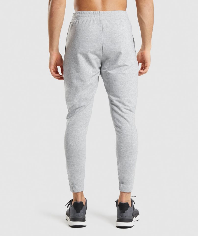 Gymshark Critical 2.0 Jogginghose Herren Hellgrau | 60794ZCUG