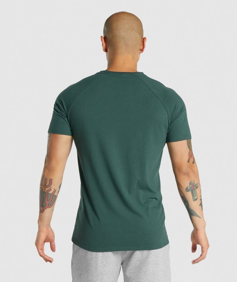 Gymshark Critical 2.0 T-shirts Herren Dunkelgrün | 85317TWFN