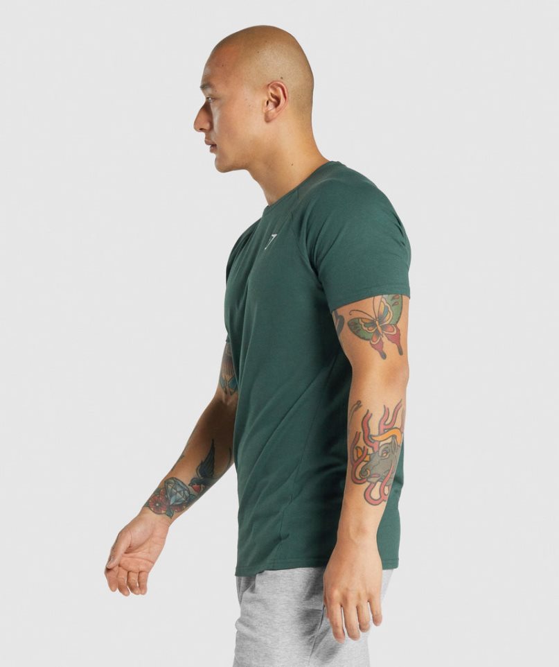 Gymshark Critical 2.0 T-shirts Herren Dunkelgrün | 85317TWFN