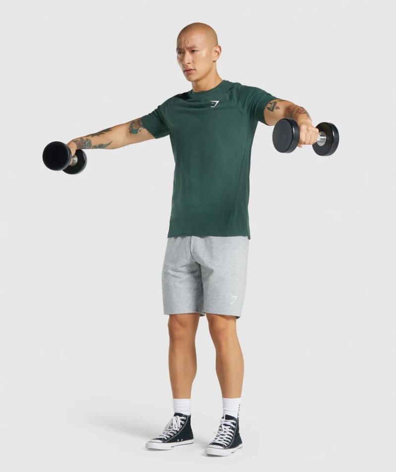 Gymshark Critical 2.0 T-shirts Herren Dunkelgrün | 85317TWFN