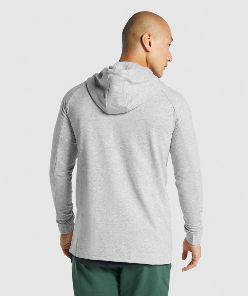 Gymshark Critical 2.0 Zip Up Hoodie Herren Hellgrau | 96821DVMN