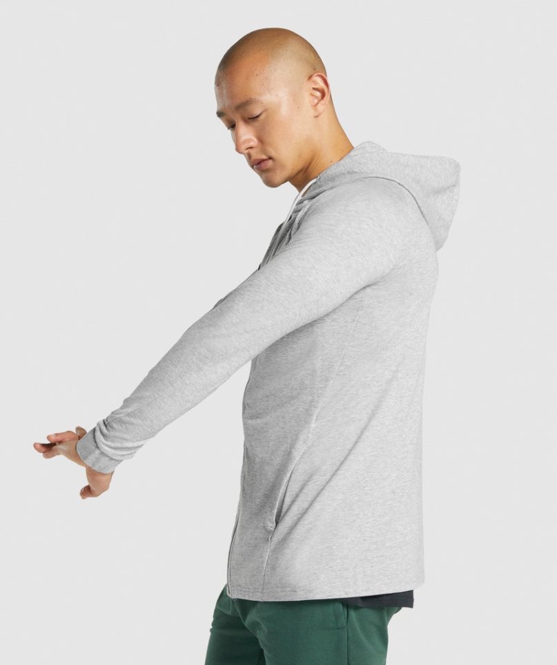 Gymshark Critical 2.0 Zip Up Hoodie Herren Hellgrau | 96821DVMN