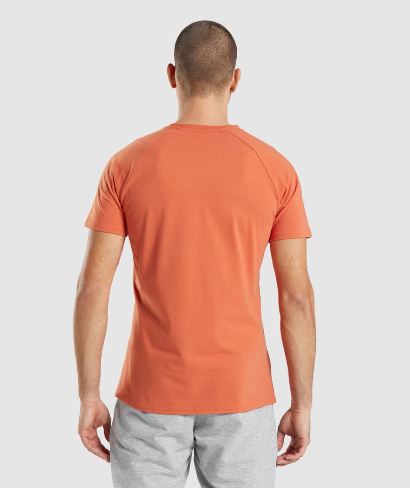 Gymshark Critical T-shirts Herren Orange | 87219QJST