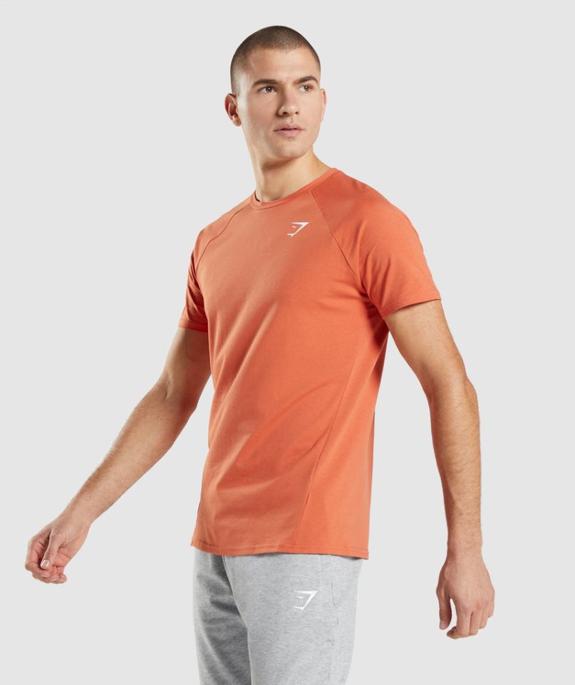 Gymshark Critical T-shirts Herren Orange | 87219QJST