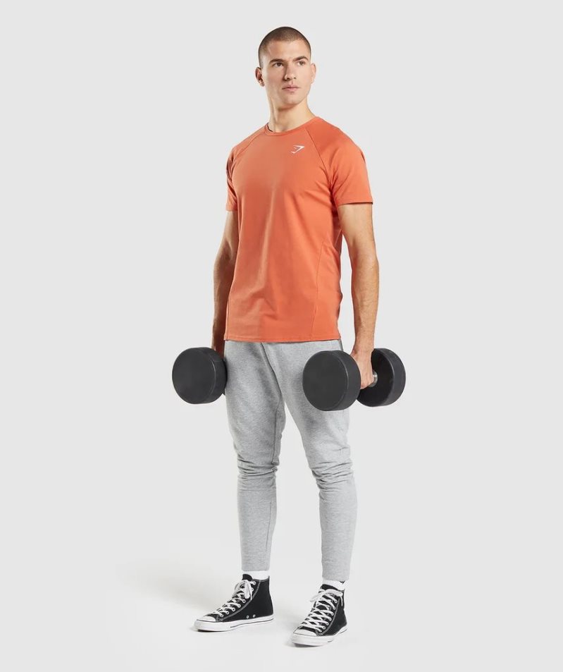 Gymshark Critical T-shirts Herren Orange | 87219QJST