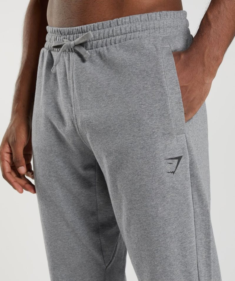 Gymshark Essential Oversized Jogginghose Herren Grau | 47160WLPM