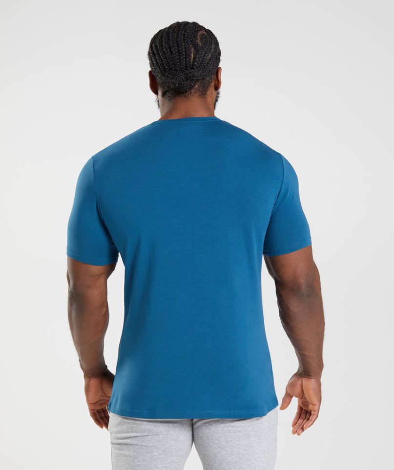 Gymshark Essential T-shirts Herren Blau | 51746NZDV