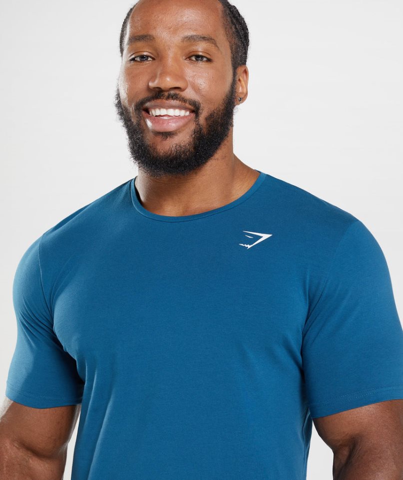 Gymshark Essential T-shirts Herren Blau | 51746NZDV