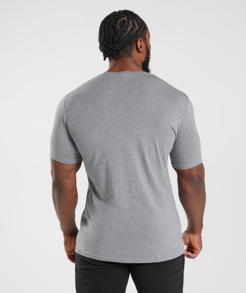 Gymshark Essential T-shirts Herren Grau | 79642IXLR