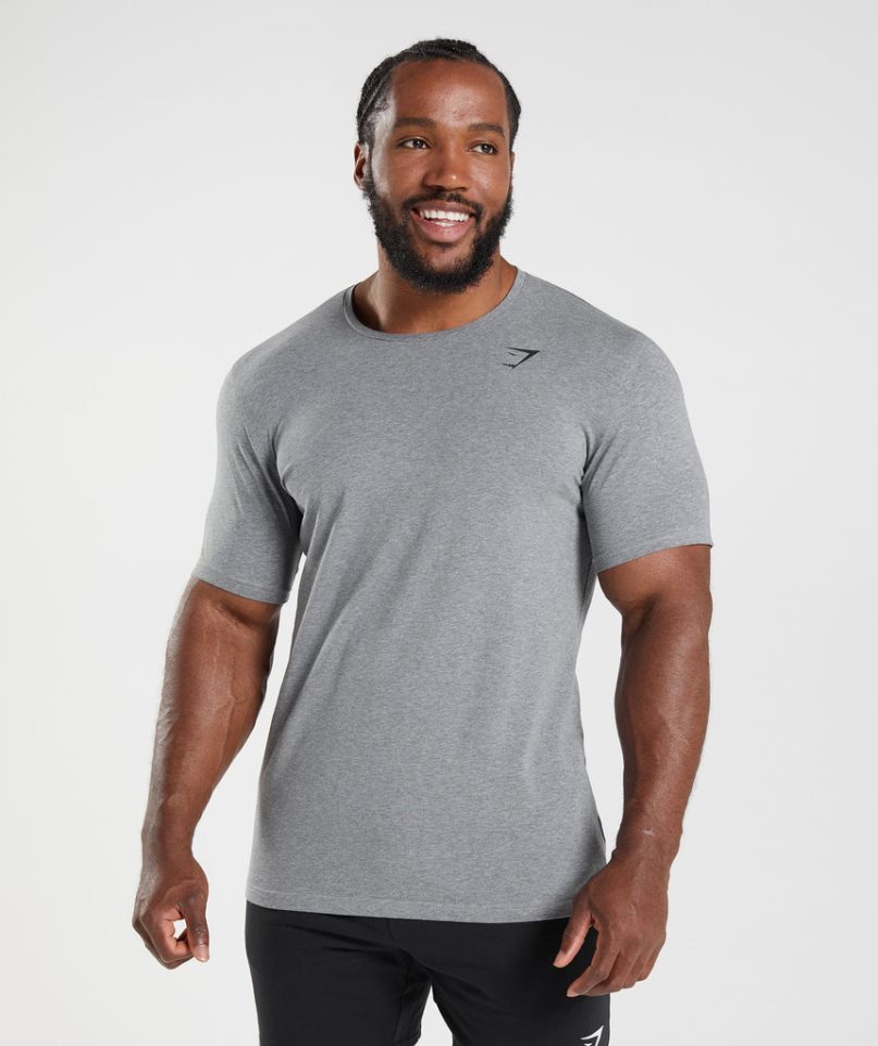 Gymshark Essential T-shirts Herren Grau | 79642IXLR