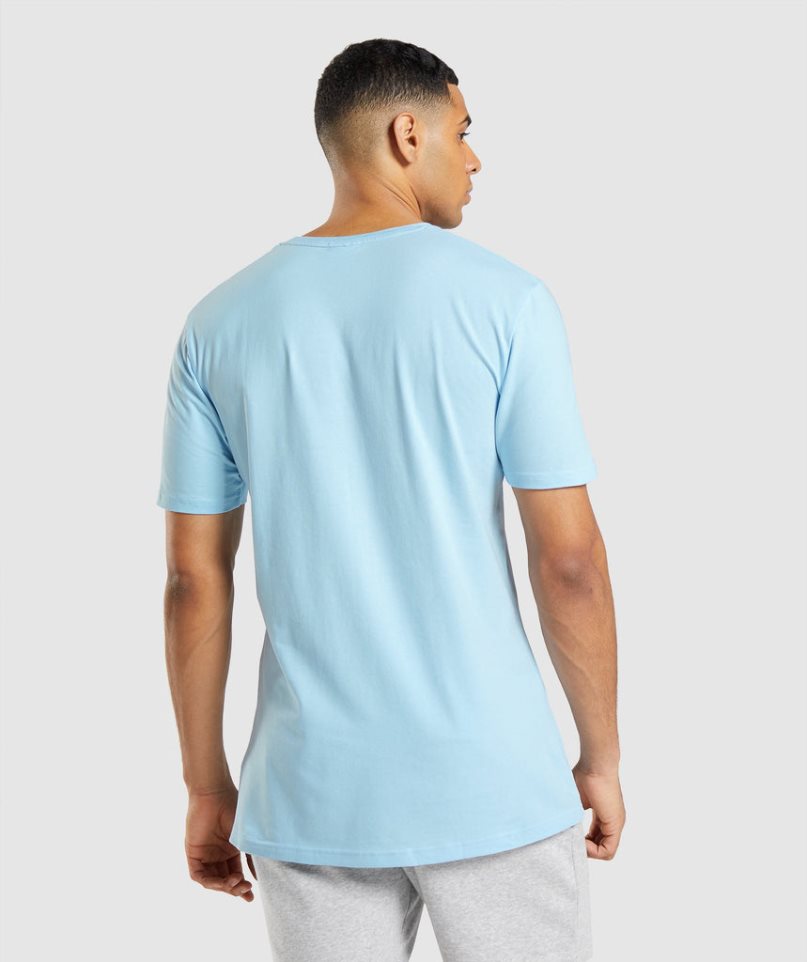 Gymshark Essential T-shirts Herren Hellblau | 42537RUVP