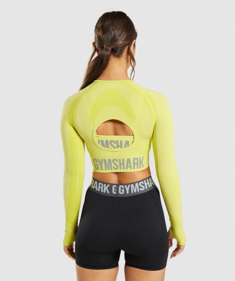 Gymshark Flex Sports Long Sleeve Kurz Geschnittene Oberteile Damen Gelb | 59613IGNU