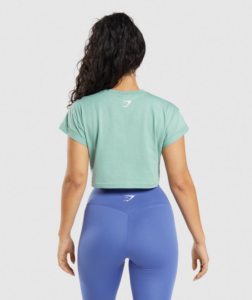 Gymshark Fraction Kurz Geschnittene Oberteile Damen Hellgrün | 71209DJFE