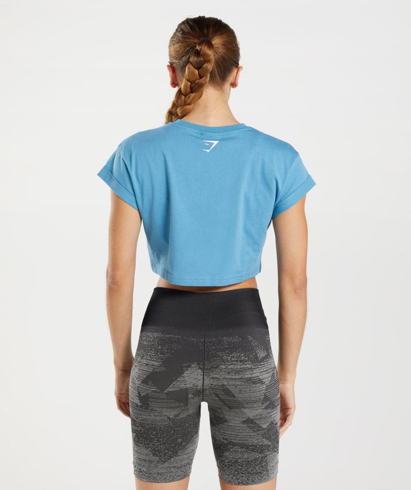 Gymshark Fraction Kurz Geschnittene Oberteile Damen Blau | 71284XVAB