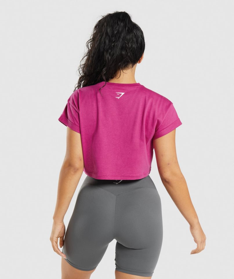 Gymshark Fraction Kurz Geschnittene Oberteile Damen Fuchsie | 84019WGDA