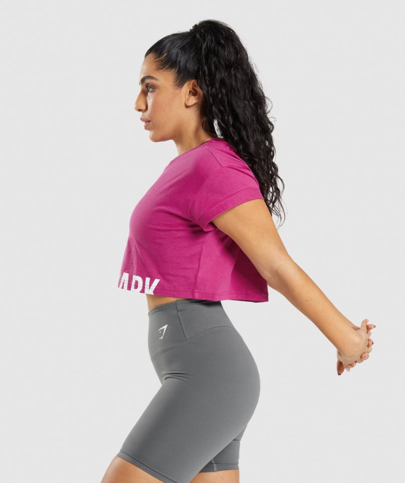 Gymshark Fraction Kurz Geschnittene Oberteile Damen Fuchsie | 84019WGDA