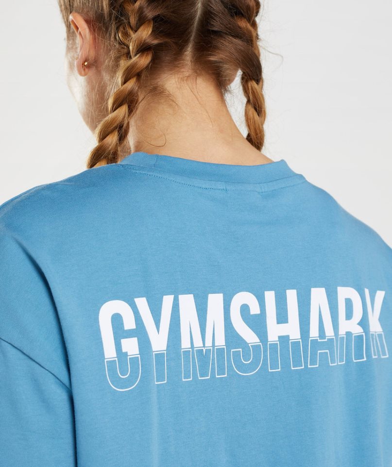 Gymshark Fraction Oversized T-shirts Damen Blau | 87056TVGQ