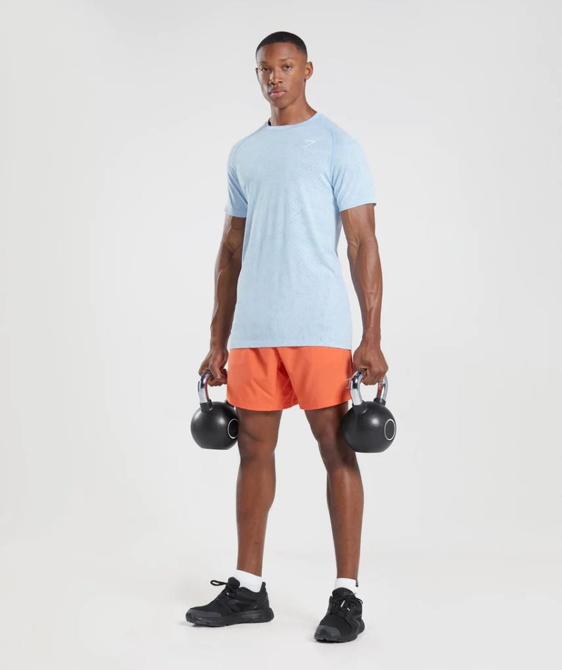 Gymshark Geo Seamless T-shirts Herren Hellblau | 04321BXWH