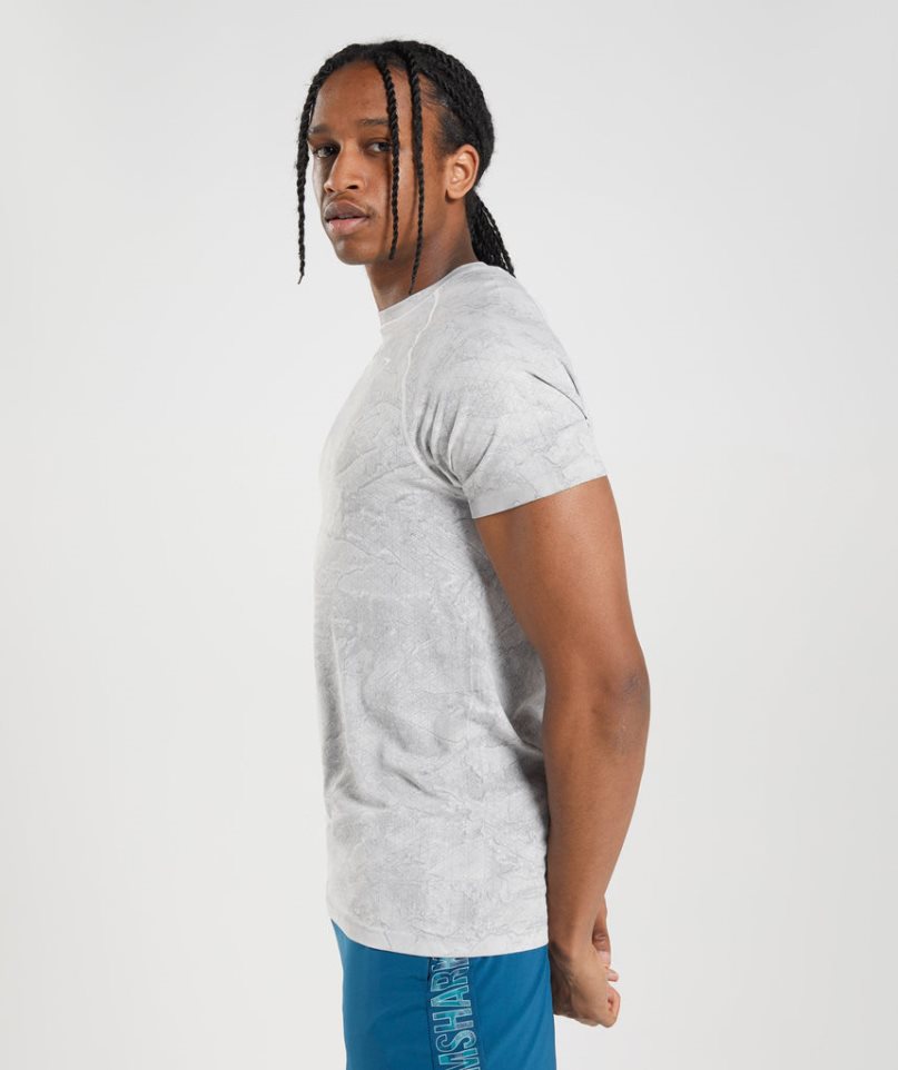 Gymshark Geo Seamless T-shirts Herren Hellgrau | 24567XIRT