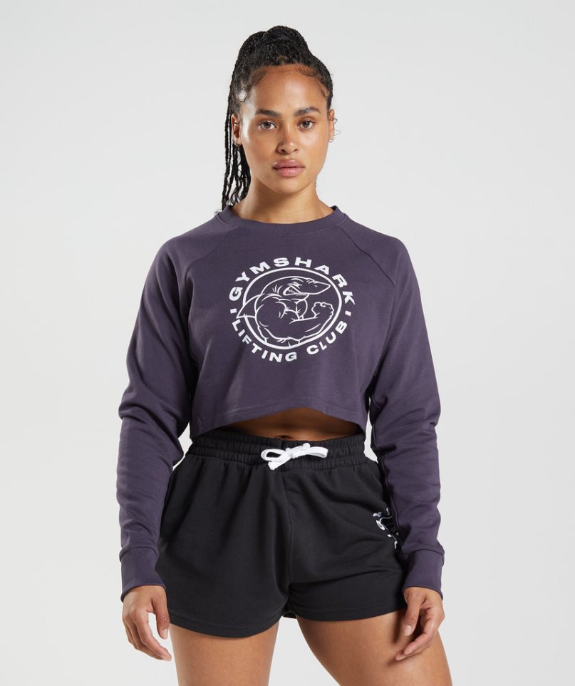 Gymshark Legacy Cropped Sweatshirts Damen Lila | 19740KMVO