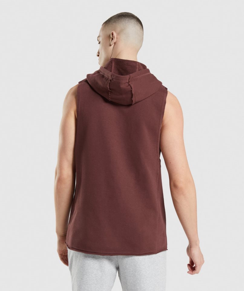 Gymshark Legacy Drop Arm Hoodie Herren Braun | 28431EZNI