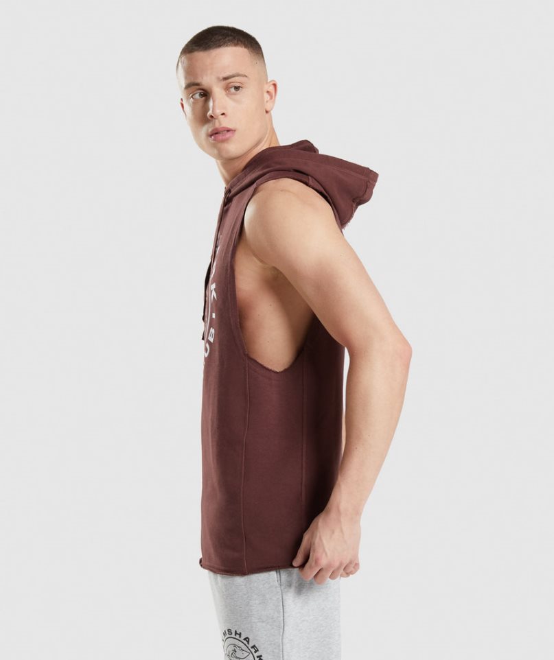 Gymshark Legacy Drop Arm Hoodie Herren Braun | 28431EZNI