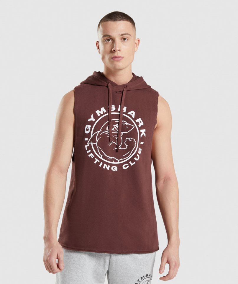 Gymshark Legacy Drop Arm Hoodie Herren Braun | 28431EZNI