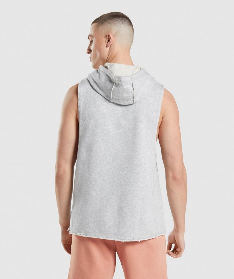 Gymshark Legacy Drop Arm Hoodie Herren Hellgrau | 61290GZYW