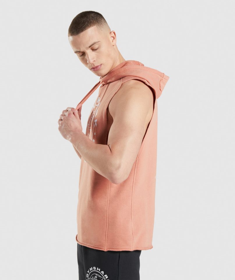 Gymshark Legacy Drop Arm Hoodie Herren Rosa | 63219PMZF