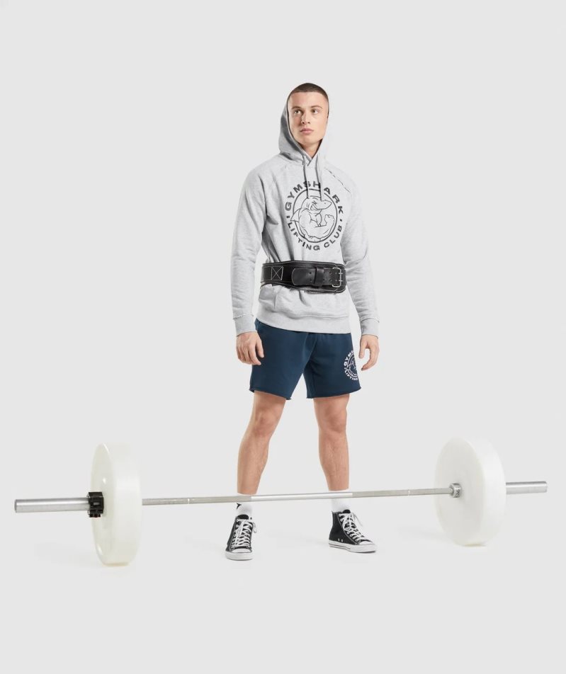 Gymshark Legacy Hoodie Herren Hellgrau | 13807PHFY