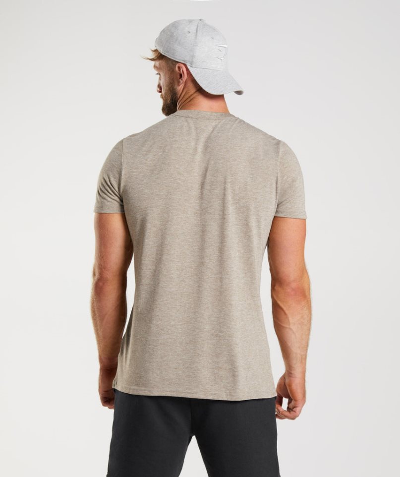 Gymshark Legacy T-shirts Herren Grau | 32514EZLR