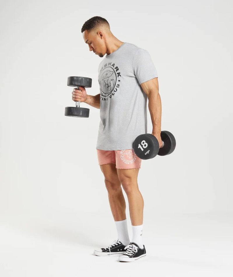 Gymshark Legacy T-shirts Herren Hellgrau | 72931BDZV