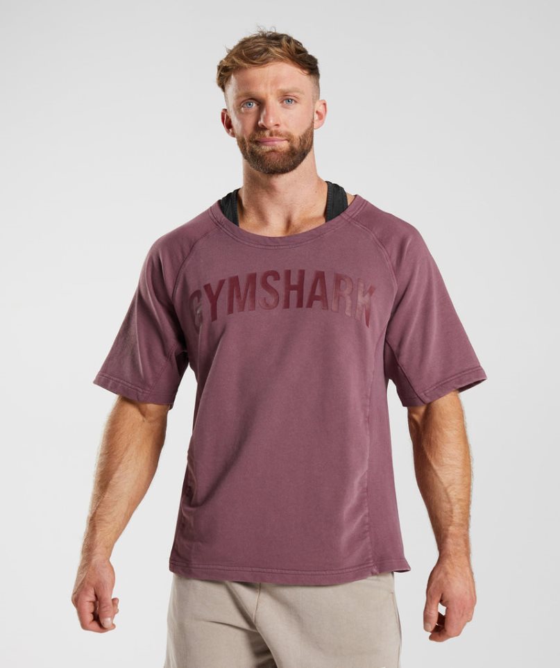 Gymshark Power Washed Rag Top T-shirts Herren Rosa | 58103CAGV