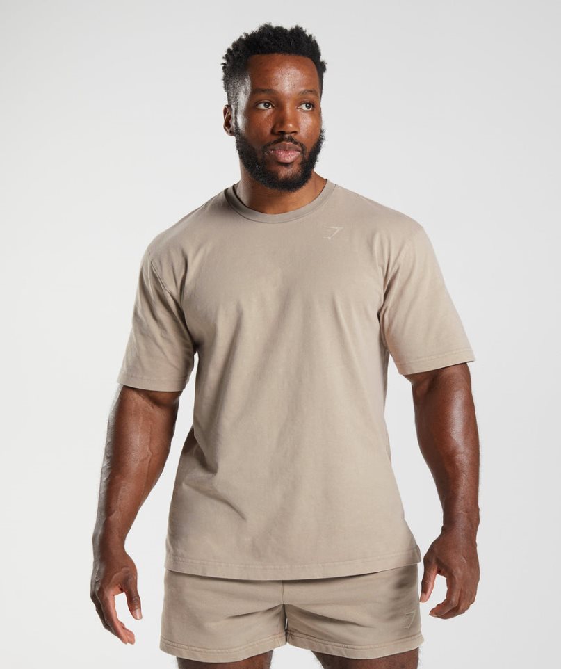 Gymshark Power Washed T-shirts Herren Beige | 23490VJGY