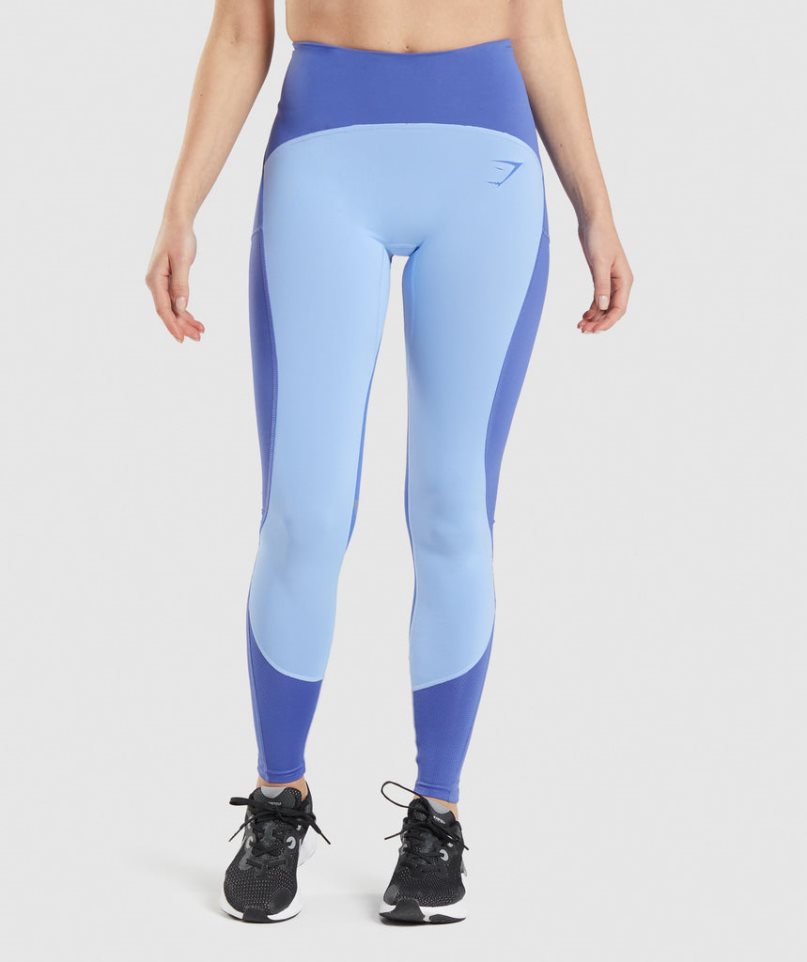 Gymshark Pulse Mesh Leggings Damen Blau | 80936BGJF