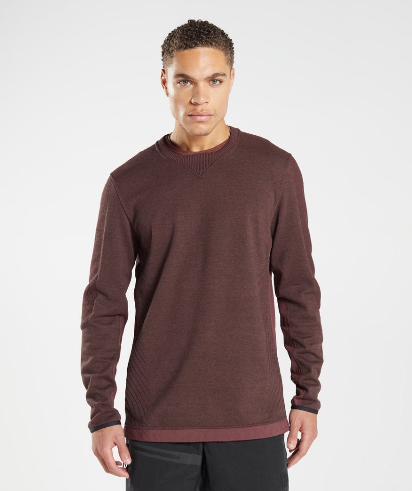 Gymshark Retake Crew Sweatshirts Herren Dunkelbraun | 84573RJEL