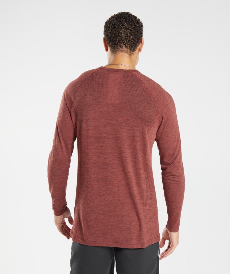 Gymshark Retake Seamless Long Sleeve T-shirts Herren Braun | 01246IGZL