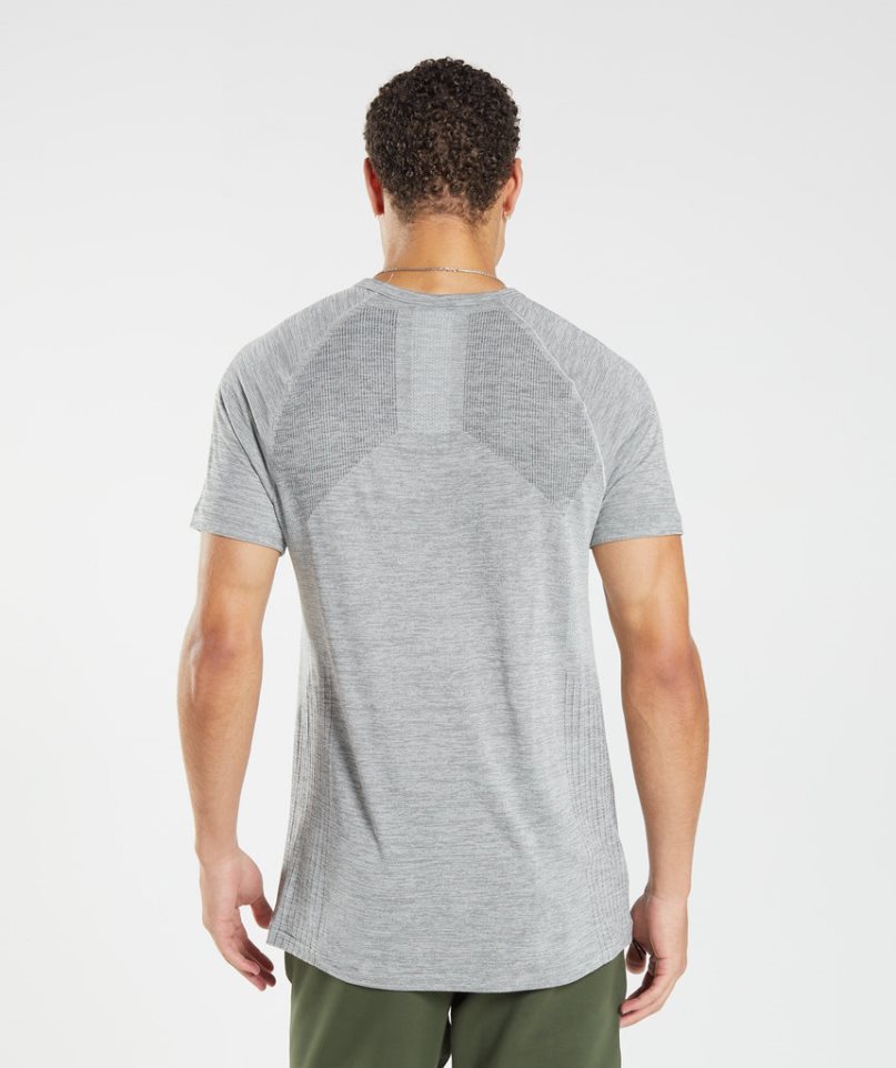 Gymshark Retake Seamless T-shirts Herren Hellgrau | 64710QEJH