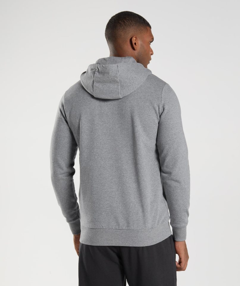 Gymshark Sharkhead Infill Hoodie Herren Grau | 53142YTRH