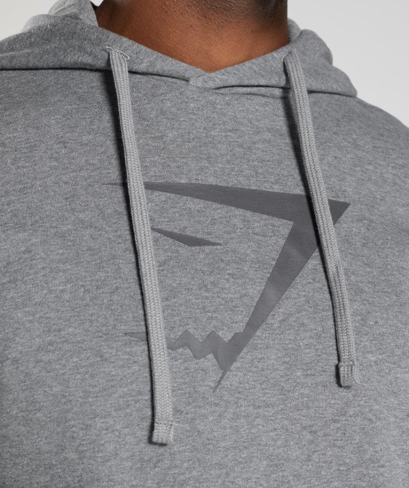 Gymshark Sharkhead Infill Hoodie Herren Grau | 53142YTRH