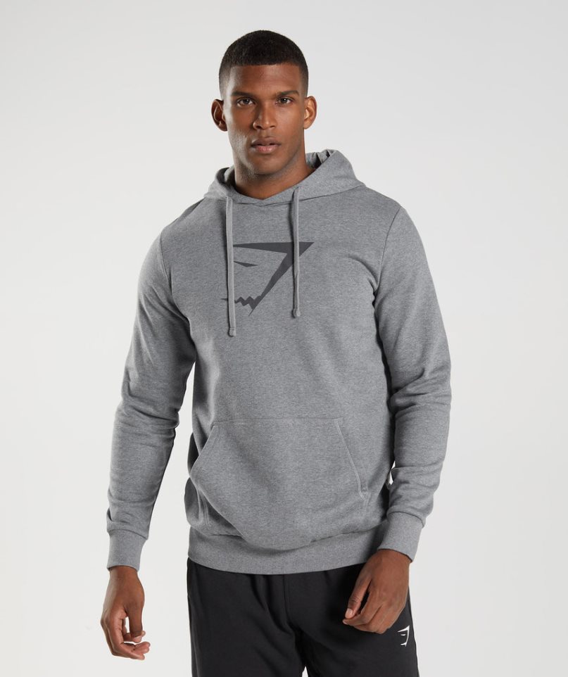 Gymshark Sharkhead Infill Hoodie Herren Grau | 53142YTRH