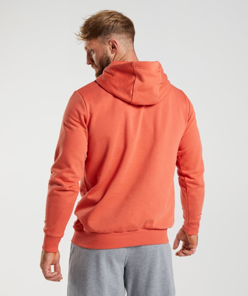 Gymshark Sharkhead Infill Hoodie Herren Orange | 61439PMEA