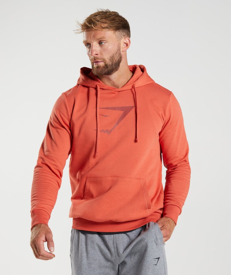 Gymshark Sharkhead Infill Hoodie Herren Orange | 61439PMEA