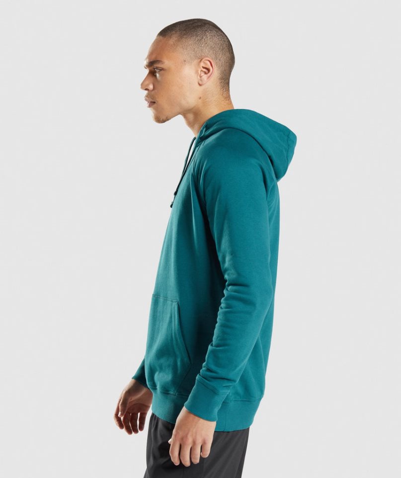 Gymshark Sharkhead Infill Hoodie Herren Türkis | 61754PGDM