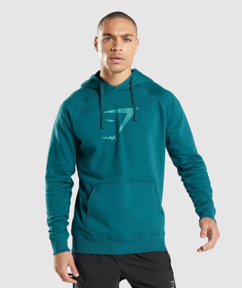 Gymshark Sharkhead Infill Hoodie Herren Türkis | 61754PGDM