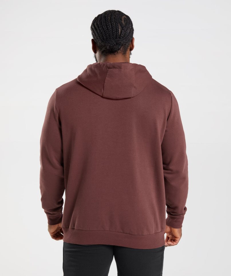 Gymshark Sharkhead Infill Hoodie Herren Braun | 81759META